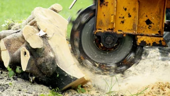 Stump Grinding image