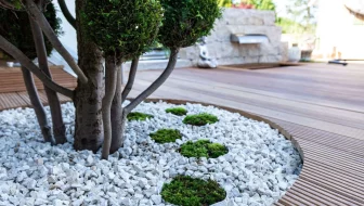 Unveiling the Impact of Trees on Property Value image