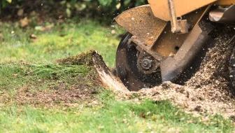 Professional Stump Removal image