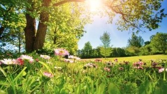 Wildlife-Friendly Landscape