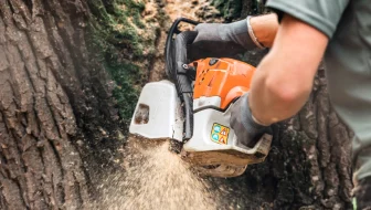 Tree Services Eugene Oregon