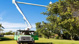 Tree Services Lake Oswego