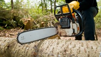 tree services in Salem