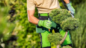 Tree Pruning