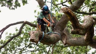 Hazard Tree Evaluation