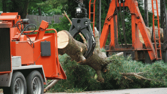 Tree Service
