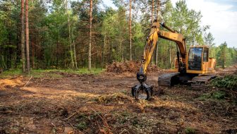 Tree Care Tree Removal in Tualatin, OR