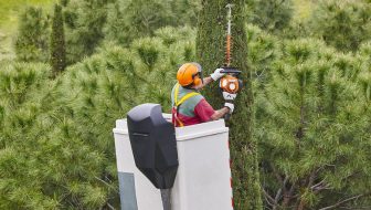 Tree Service
