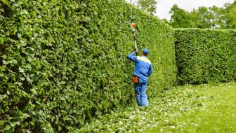 Tree Services in Hockinson, WA
