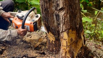 Emergency Tree Removal in Vancouver, WA