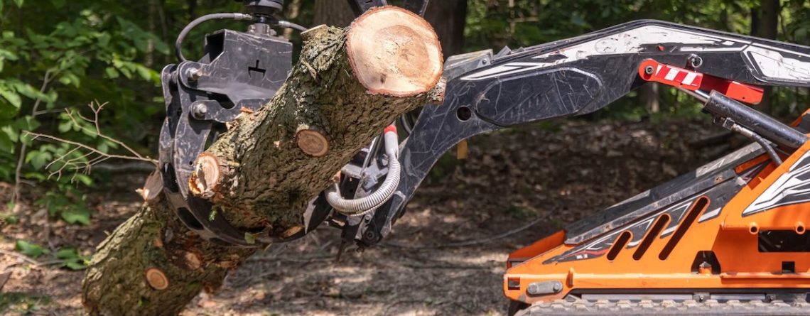 Tree Clearing Services in Vancouver, WA
